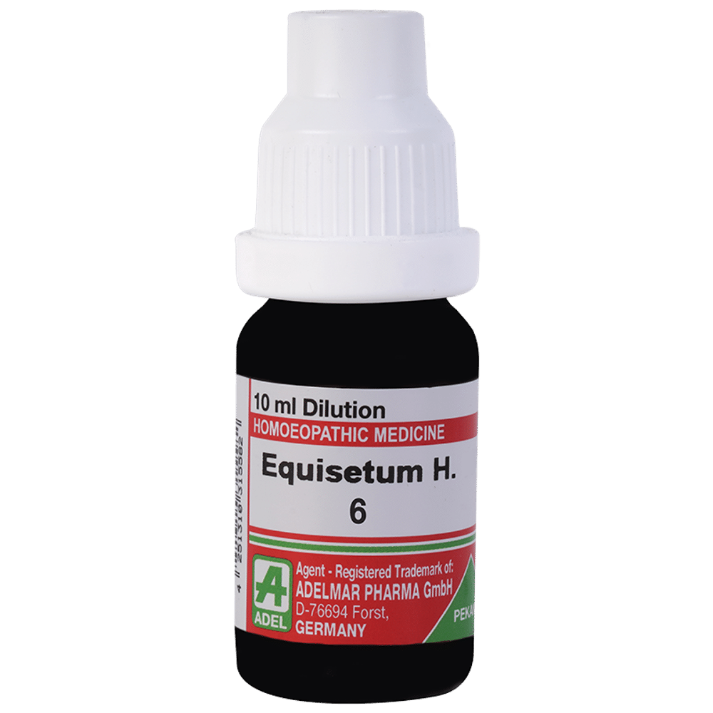 ADEL Equisetum H Dilution 6 ADEL Equisetum H Dilution 6