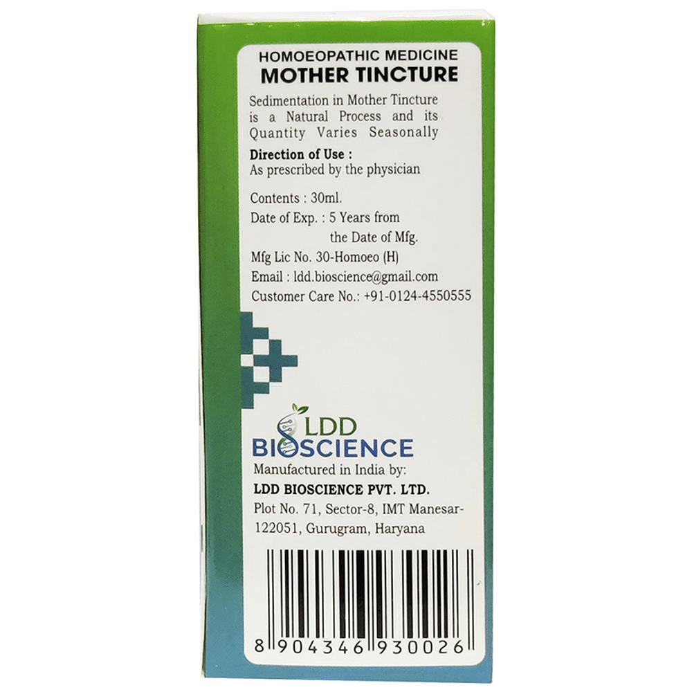 LDD Bioscience Senecio Aureus Mother Tincture Q LDD Bioscience Senecio Aureus Mother Tincture Q