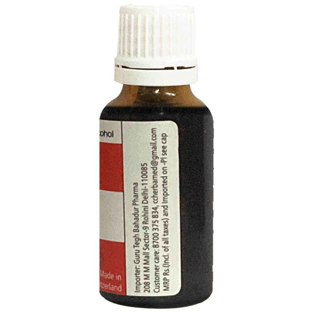 Herbamed Sarsaparilla Mother Tincture Q Herbamed Sarsaparilla Mother Tincture Q