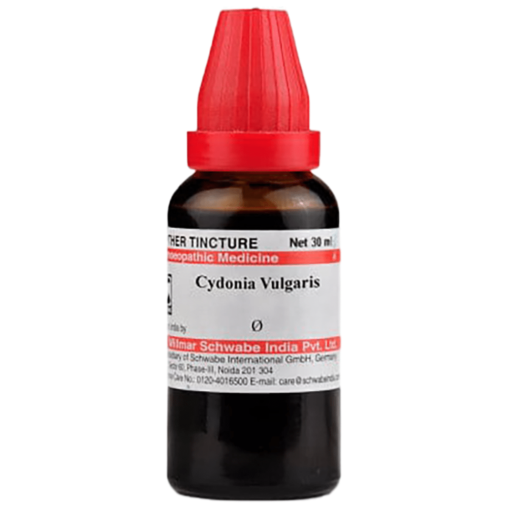 Dr Willmar Schwabe India Cydonia Vulgaris Mother Tincture Q Dr Willmar Schwabe India Cydonia Vulgaris Mother Tincture Q