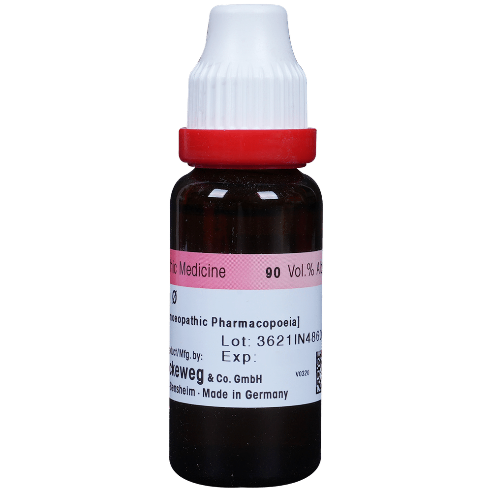 Dr. Reckeweg Ginseng Mother Tincture Q Dr. Reckeweg Ginseng Mother Tincture Q