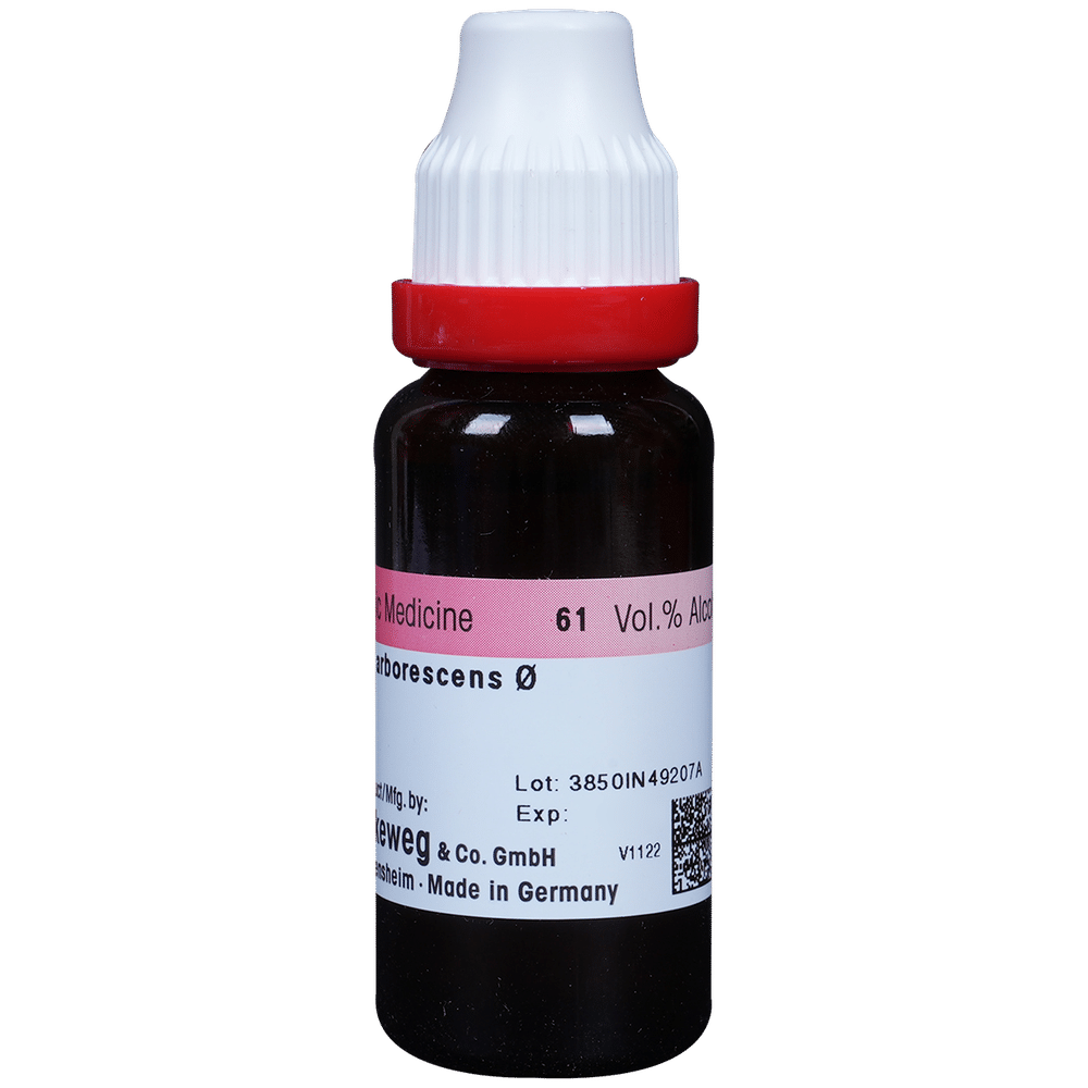Dr. Reckeweg Hydrangea Mother Tincture Q Dr. Reckeweg Hydrangea Mother Tincture Q