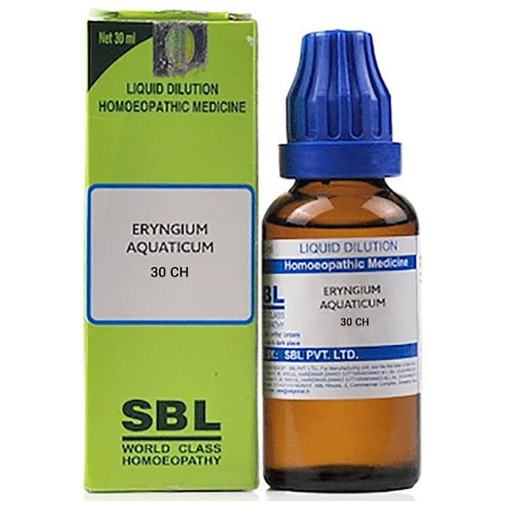 SBL Eryngium Aquaticum Dilution 30 CH SBL Eryngium Aquaticum Dilution 30 CH