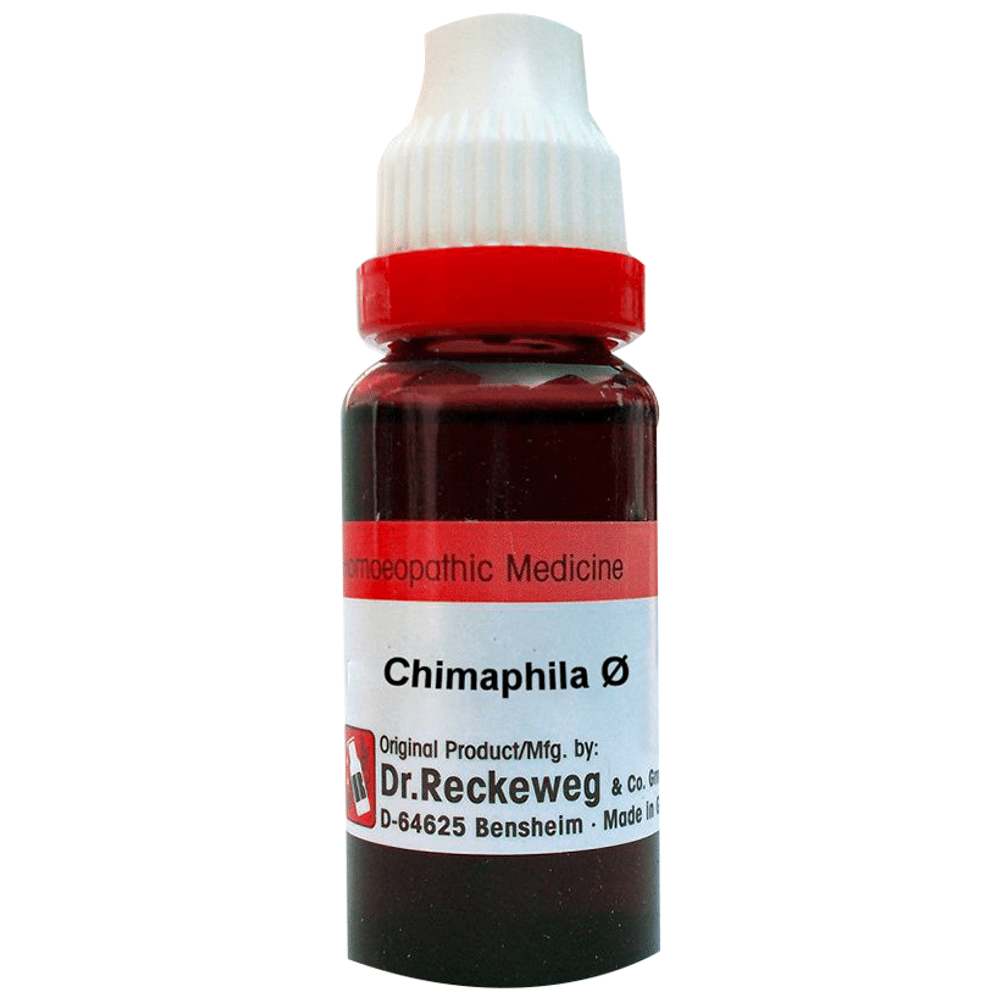Dr. Reckeweg Chimaphila Mother Tincture Q