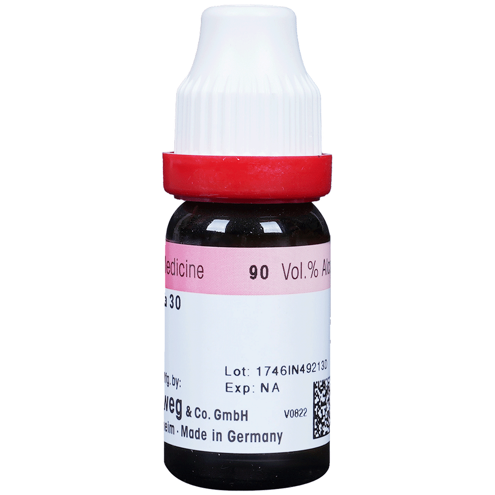Dr. Reckeweg Arnica Mont Dilution 30 CH Dr. Reckeweg Arnica Mont Dilution 30 CH