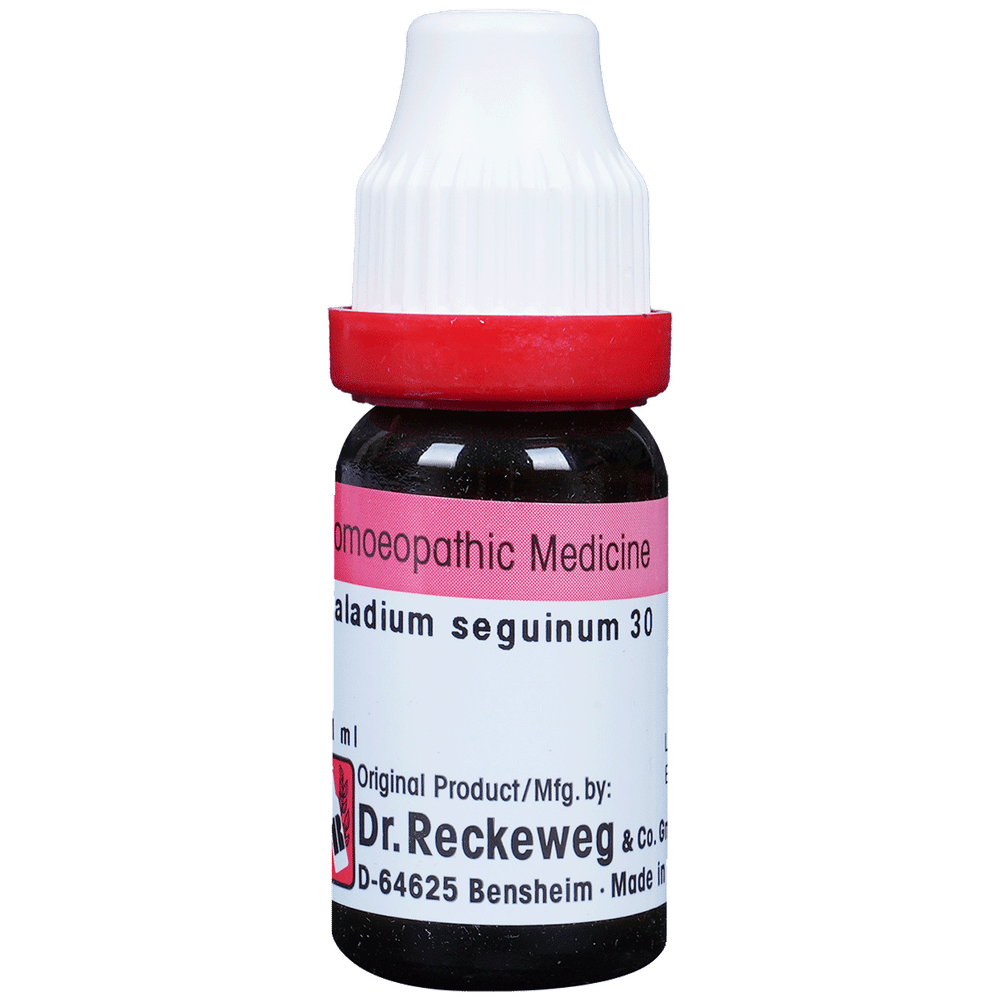 Dr. Reckeweg Caladium Seg Dilution 30 CH Dr. Reckeweg Caladium Seg Dilution 30 CH