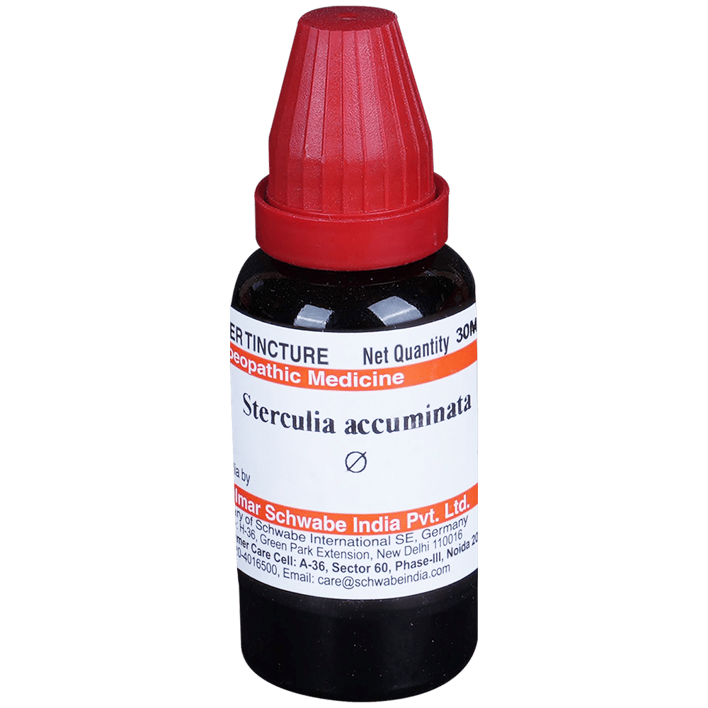 Dr Willmar Schwabe India Sterculia Acuminata Mother Tincture Q Dr Willmar Schwabe India Sterculia Acuminata Mother Tincture Q