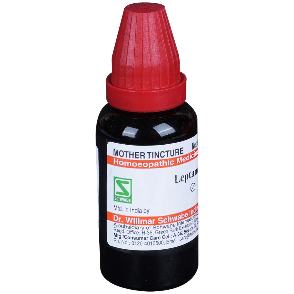 Dr Willmar Schwabe India Leptandra Mother Tincture Q Dr Willmar Schwabe India Leptandra Mother Tincture Q
