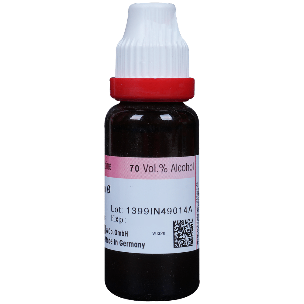 Dr. Reckeweg Allium Sativum Mother Tincture Q