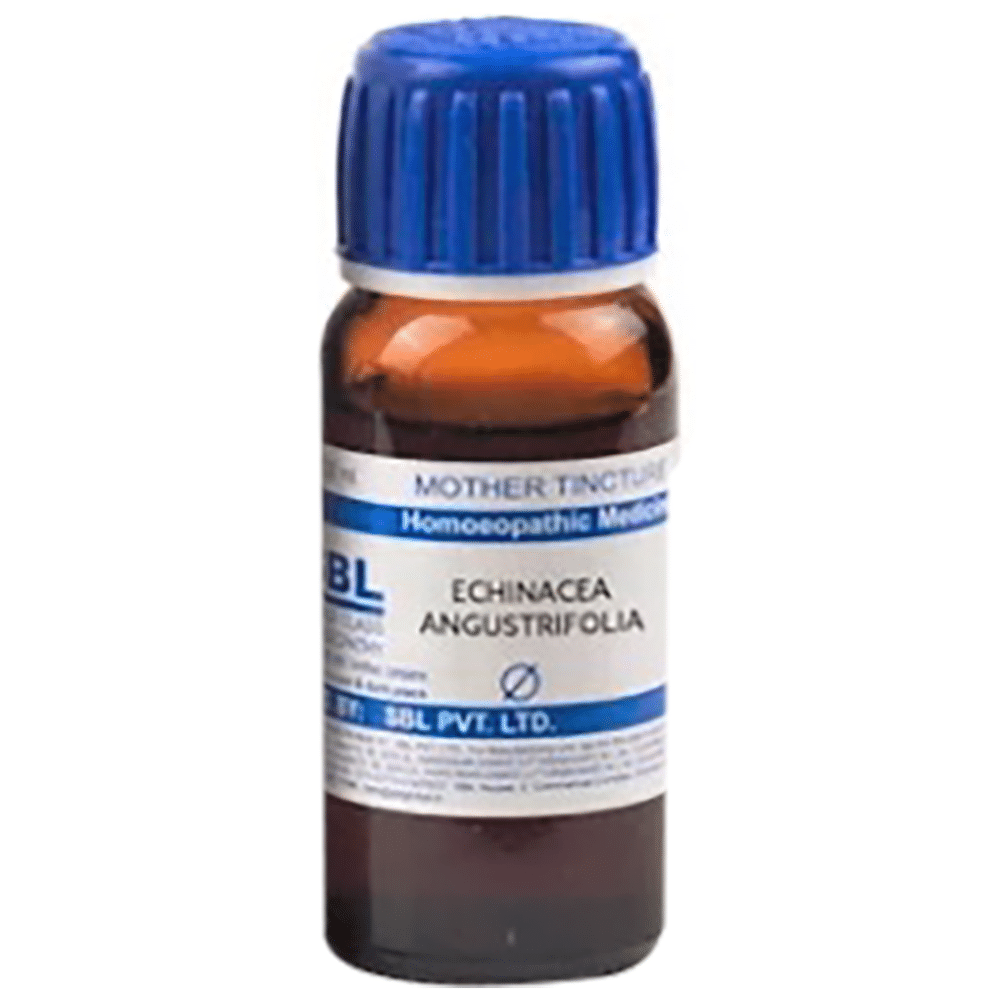 SBL Echinacea Angustifolia Mother Tincture Q SBL Echinacea Angustifolia Mother Tincture Q
