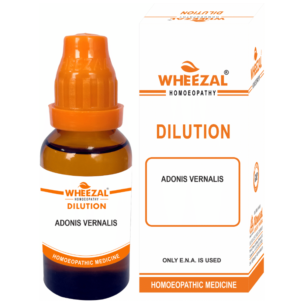 Wheezal Adonis Vernalis Dilution 6 Wheezal Adonis Vernalis Dilution 6