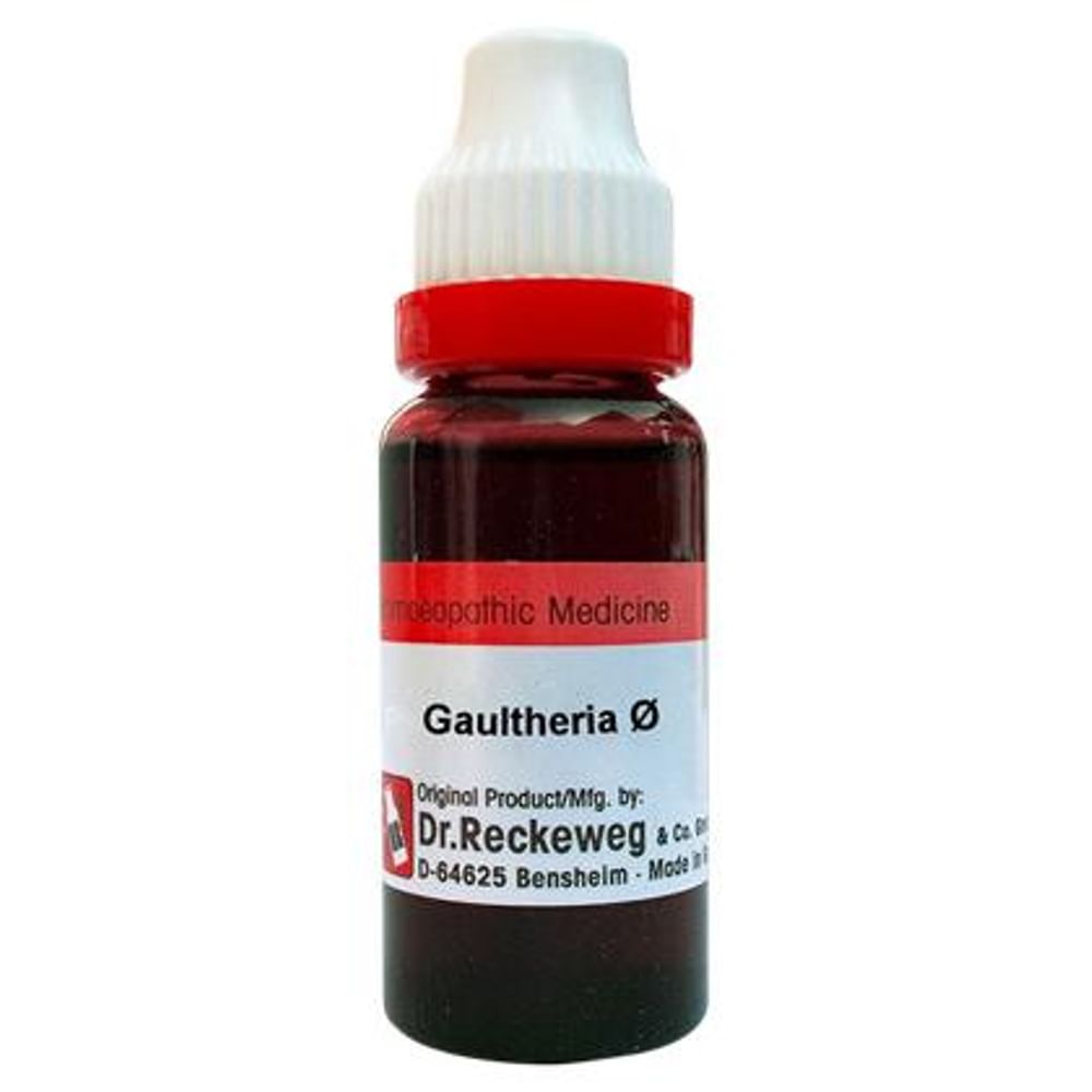 Dr. Reckeweg Gaultheria Mother Tincture Q Dr. Reckeweg Gaultheria Mother Tincture Q