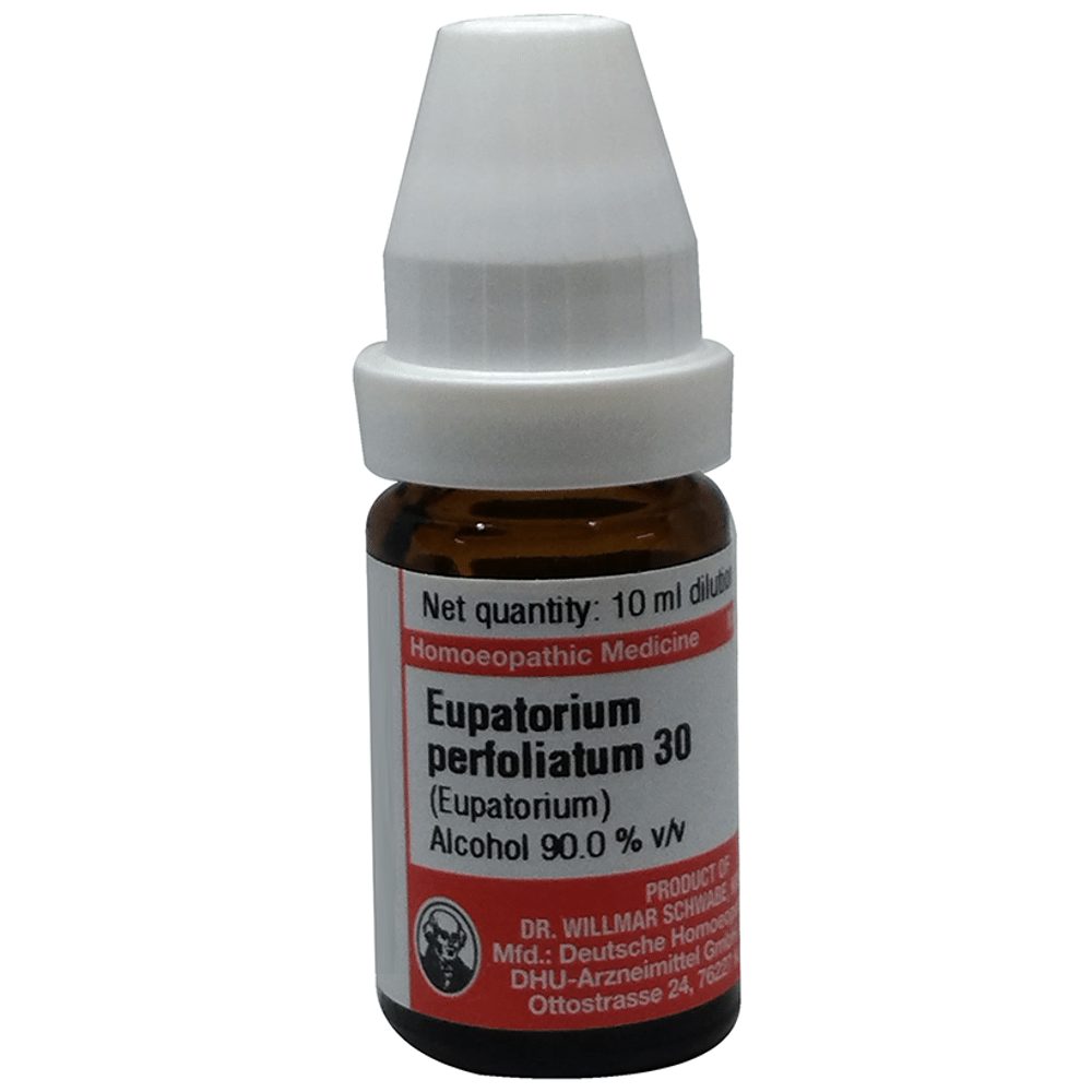 Dr Willmar Schwabe Germany Eupatorium Perfoliatum Dilution 30 Dr Willmar Schwabe Germany Eupatorium Perfoliatum Dilution 30