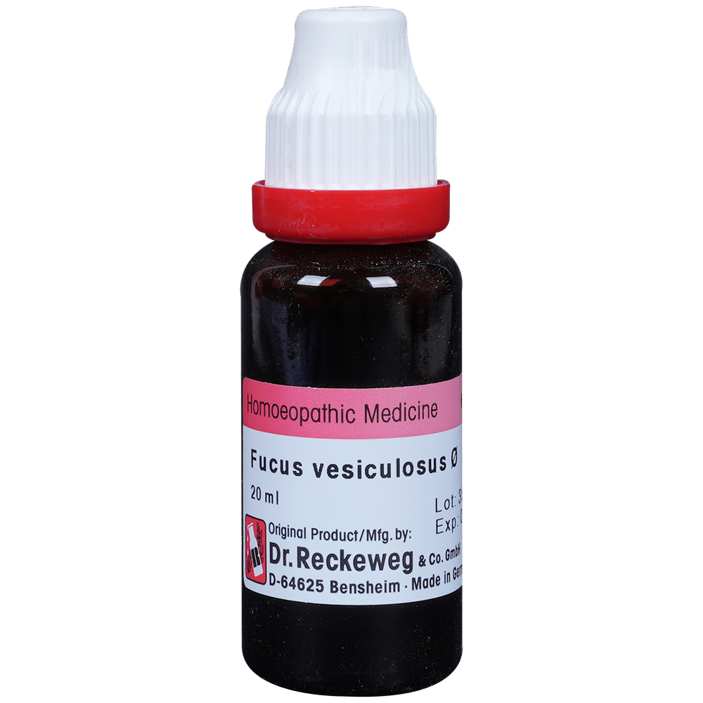 Dr. Reckeweg Fucus Vesic Mother Tincture Q Dr. Reckeweg Fucus Vesic Mother Tincture Q