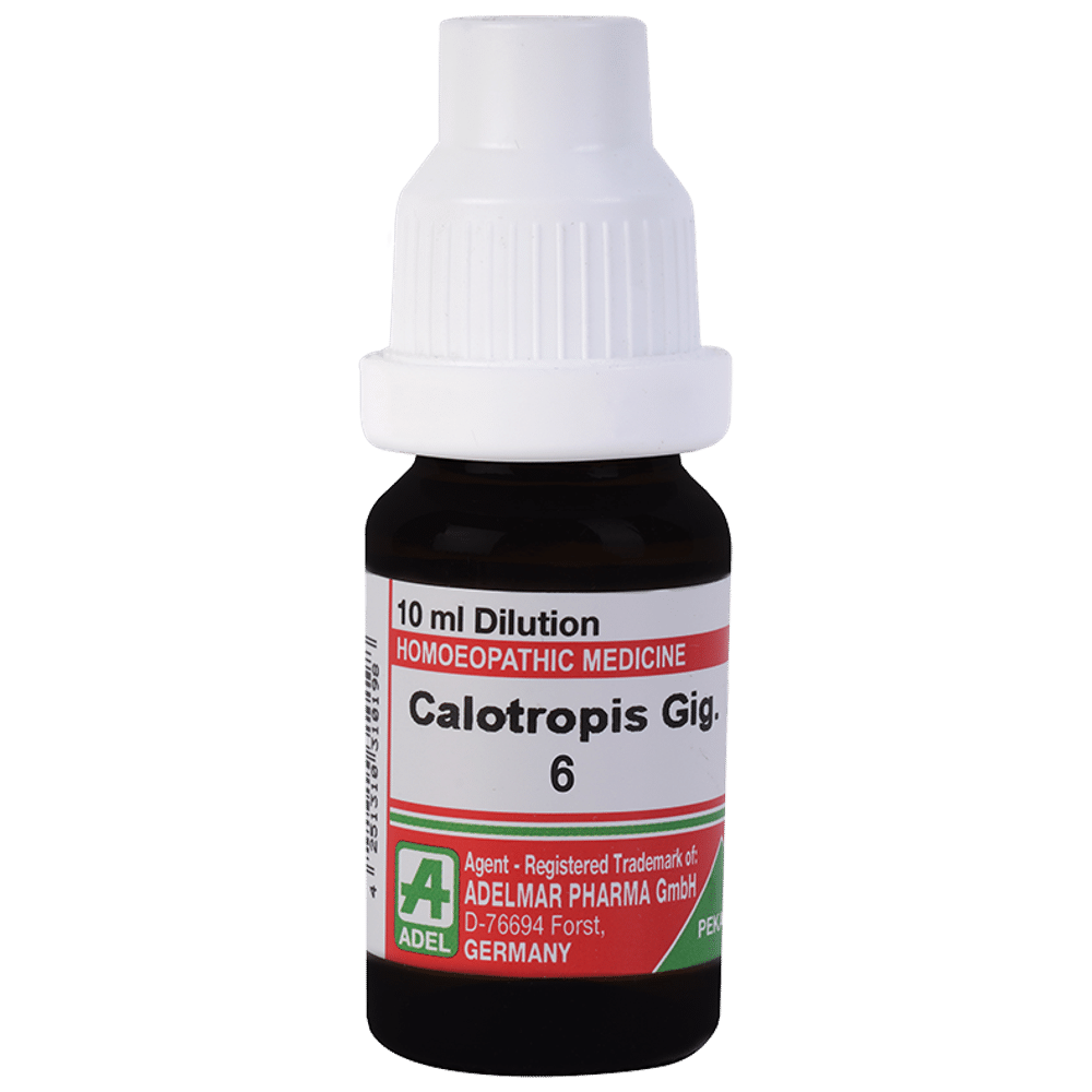 ADEL Calotropis Gig. Dilution 6 ADEL Calotropis Gig. Dilution 6