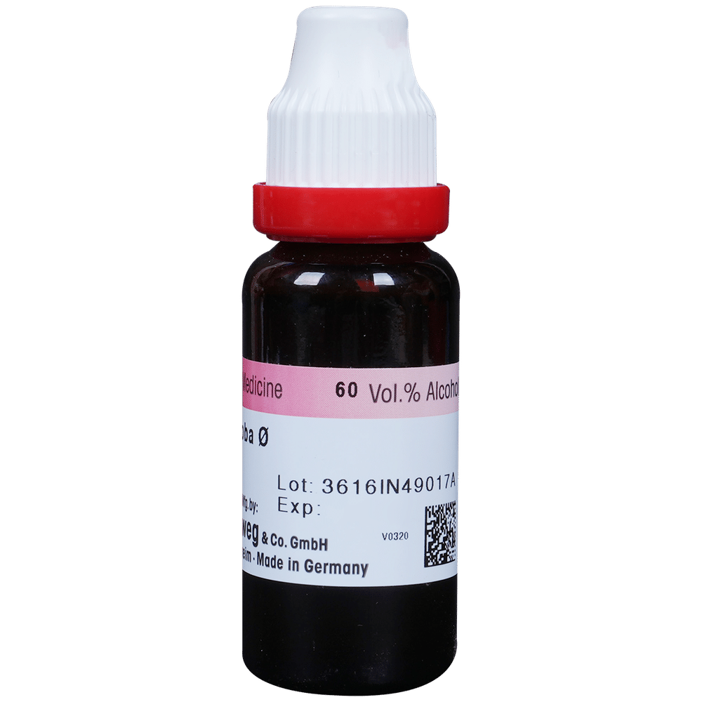 Dr. Reckeweg Ginkgo Biloba Mother Tincture Q Dr. Reckeweg Ginkgo Biloba Mother Tincture Q