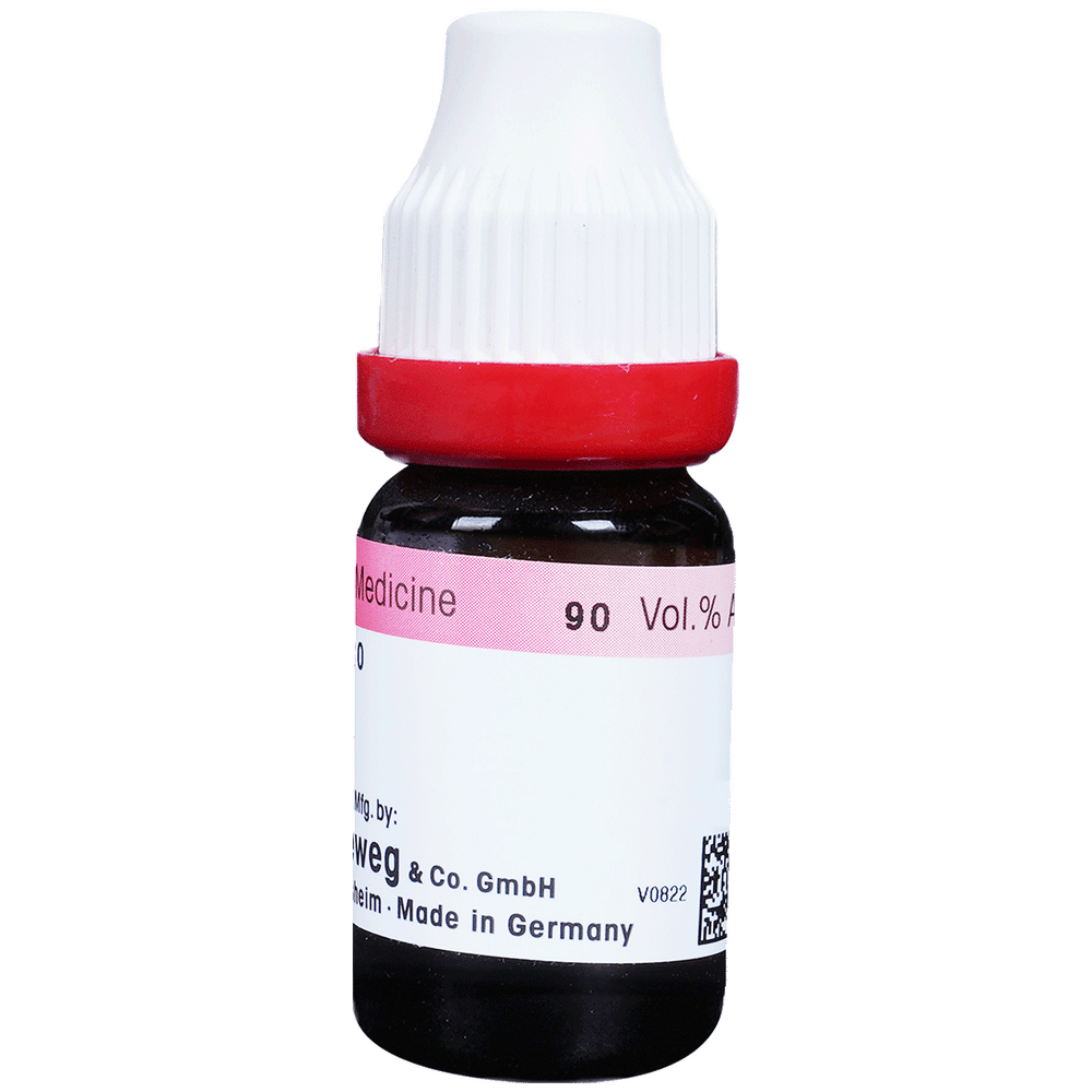 Dr. Reckeweg Bryonia Alba Dilution 30 CH Dr. Reckeweg Bryonia Alba Dilution 30 CH