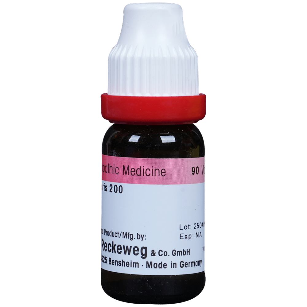 Dr. Reckeweg Cantharis Dilution 200 CH Dr. Reckeweg Cantharis Dilution 200 CH