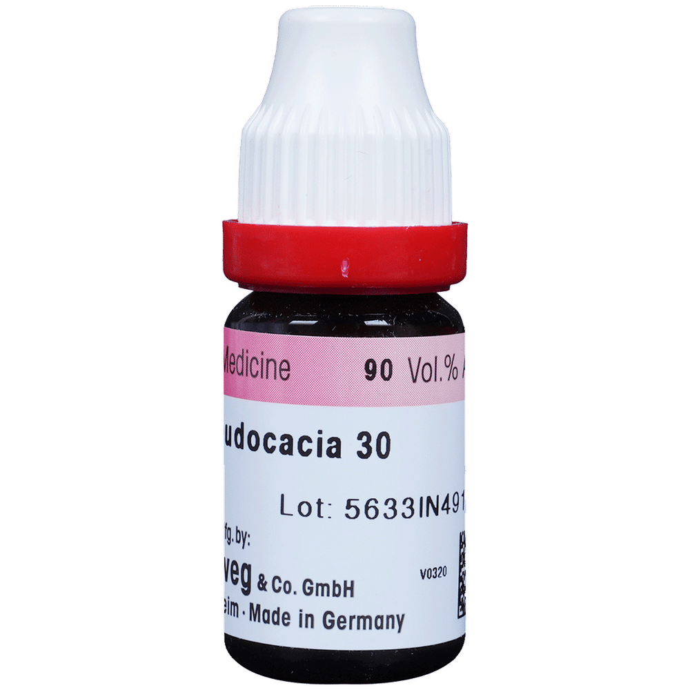 Dr. Reckeweg Robinia Pseu Dilution 30 CH Dr. Reckeweg Robinia Pseu Dilution 30 CH