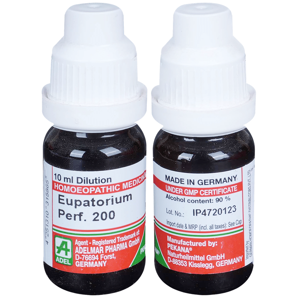 ADEL Eupatorium Perfoliatum Dilution 200 ADEL Eupatorium Perfoliatum Dilution 200