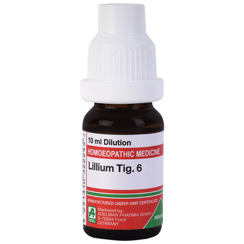 ADEL Lillium Tig. Dilution 6 ADEL Lillium Tig. Dilution 6
