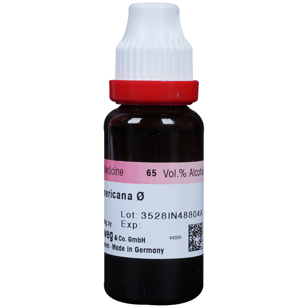 Dr. Reckeweg Fraxinus Amer Mother Tincture Q Dr. Reckeweg Fraxinus Amer Mother Tincture Q