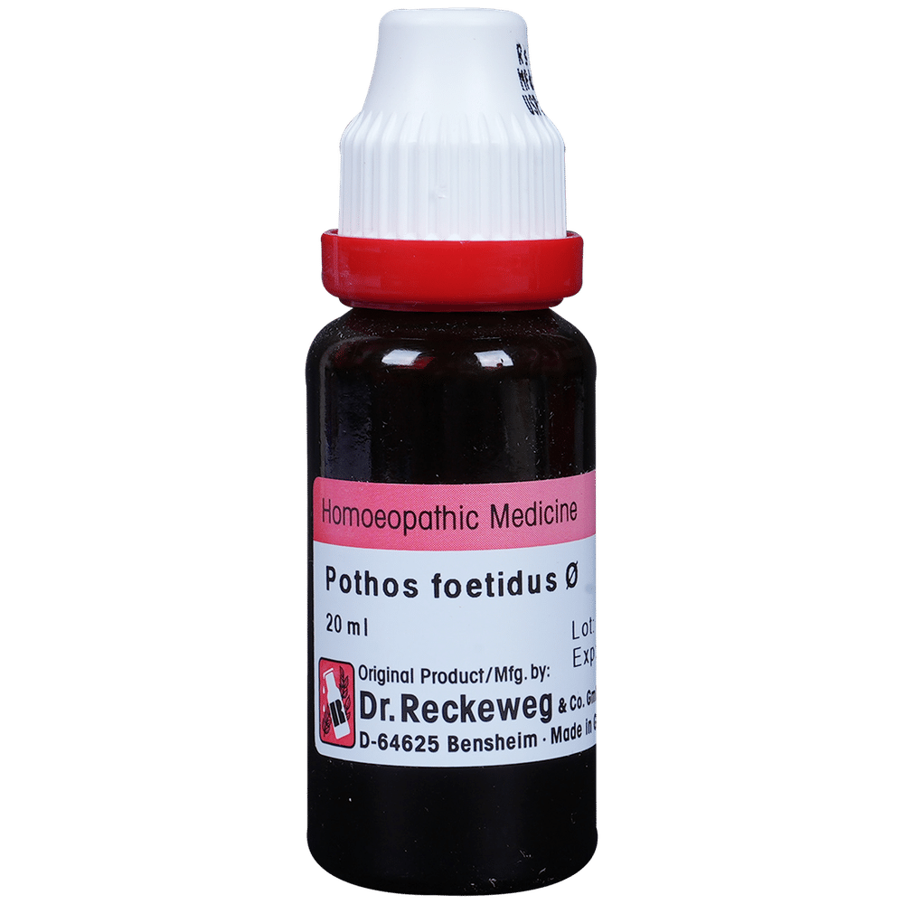 Dr. Reckeweg Pothos Foetida Mother Tincture Q Dr. Reckeweg Pothos Foetida Mother Tincture Q
