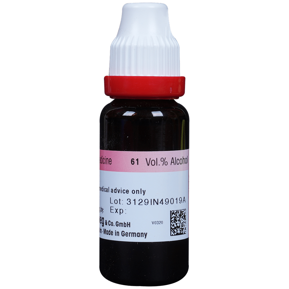 Dr. Reckeweg Crataegus Mother Tincture Q Dr. Reckeweg Crataegus Mother Tincture Q