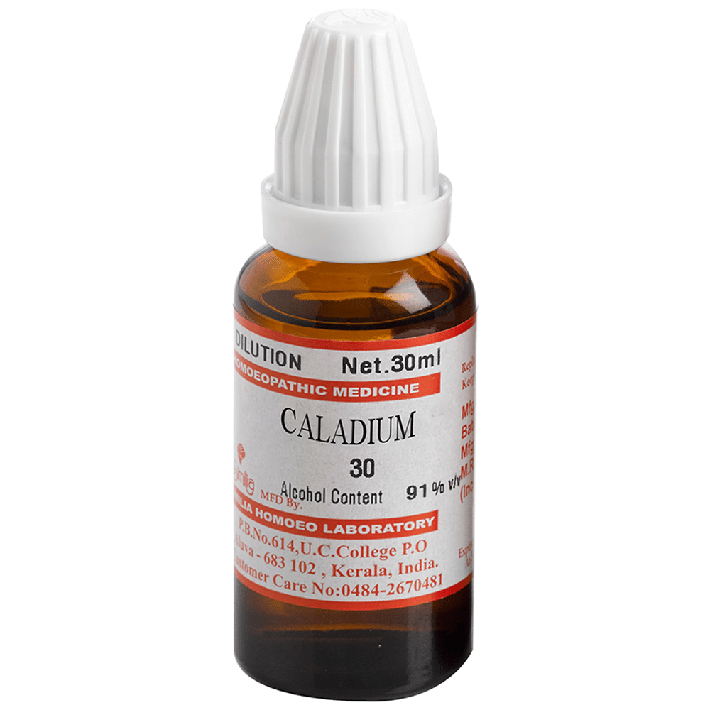 Similia Caladium Dilution 30