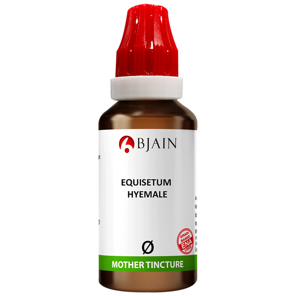 Bjain Equisetum Hyemale Mother Tincture Q Bjain Equisetum Hyemale Mother Tincture Q