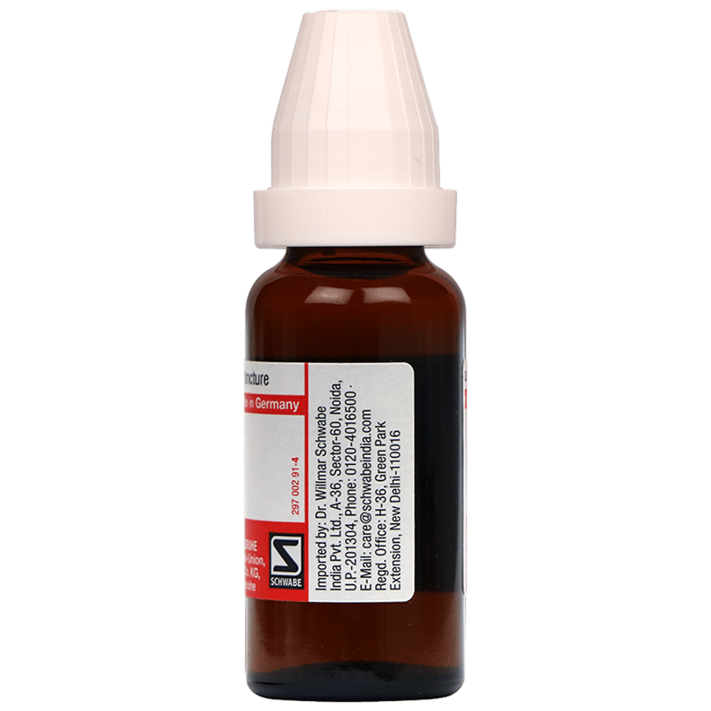 Dr Willmar Schwabe Germany Chelidonium Majus Mother Tincture Q Dr Willmar Schwabe Germany Chelidonium Majus Mother Tincture Q