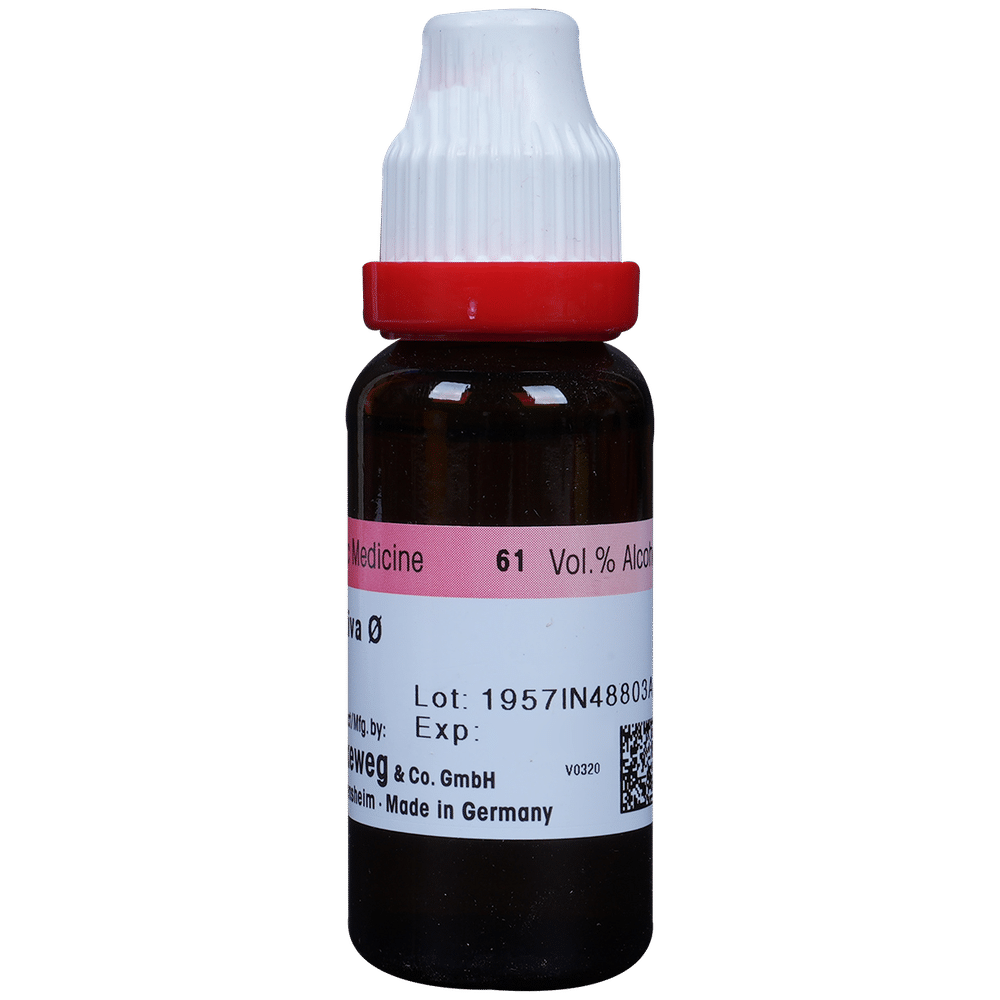 Dr. Reckeweg Avena Sat Mother Tincture Q Dr. Reckeweg Avena Sat Mother Tincture Q
