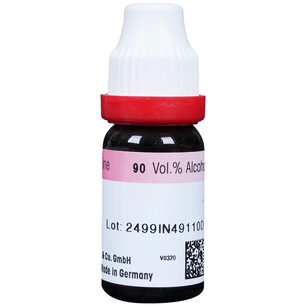 Dr. Reckeweg Cantharis Dilution 30 CH Dr. Reckeweg Cantharis Dilution 30 CH