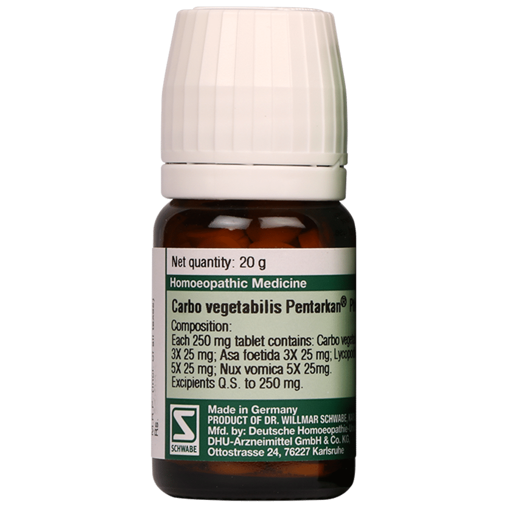 Dr Willmar Schwabe Germany Carbo Vegetabilis Pentarkan Ptk. 22 Tablet Dr Willmar Schwabe Germany Carbo Vegetabilis Pentarkan Ptk. 22 Tablet