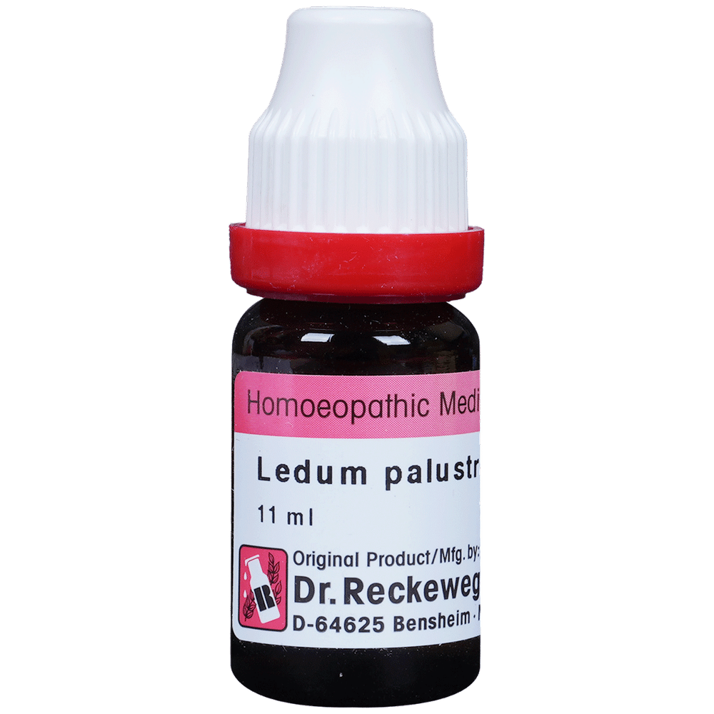 Dr. Reckeweg Ledum Pal Dilution 200 CH Dr. Reckeweg Ledum Pal Dilution 200 CH