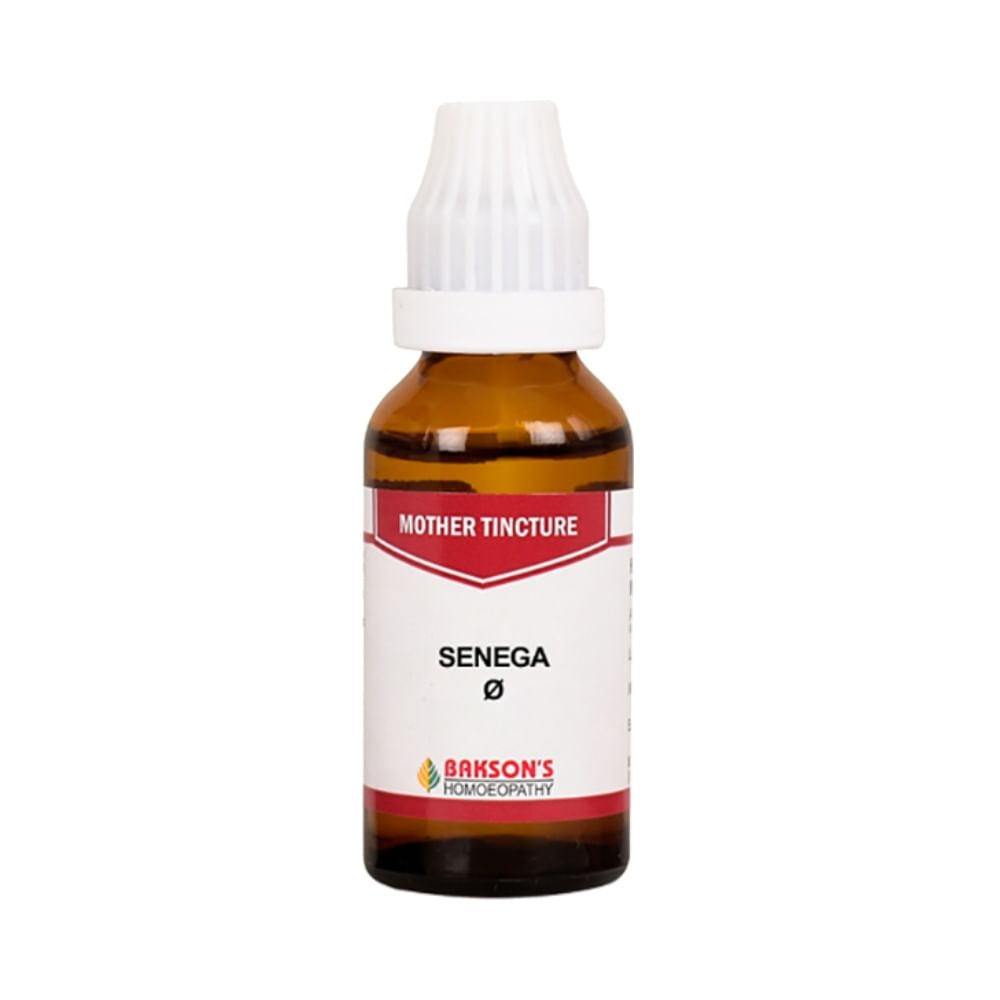 Bakson's Homeopathy Senega Mother Tincture Q Bakson's Homeopathy Senega Mother Tincture Q