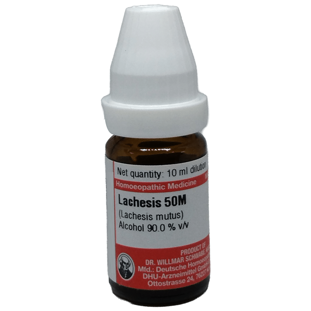Dr Willmar Schwabe Germany Lachesis Mutus Dilution 50M Dr Willmar Schwabe Germany Lachesis Mutus Dilution 50M