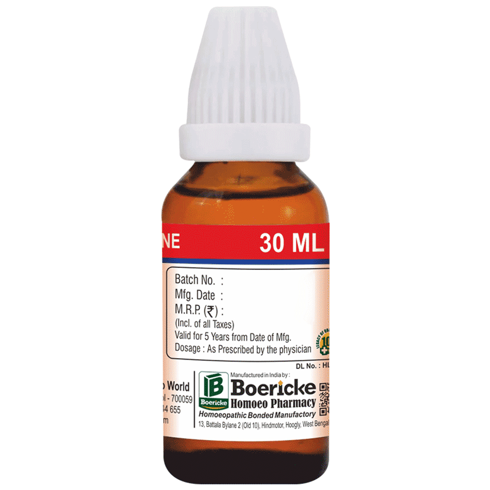 Dr. Majumder Homeo World Brahmi Dilution (30 ml Each) CM Dr. Majumder Homeo World Brahmi Dilution (30 ml Each) CM