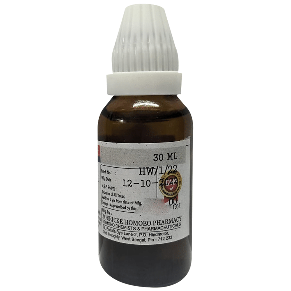 Dr. Majumder Homeo World Arsenicum Album Dilution 3 (30ml Each) Dr. Majumder Homeo World Arsenicum Album Dilution 3 (30ml Each)
