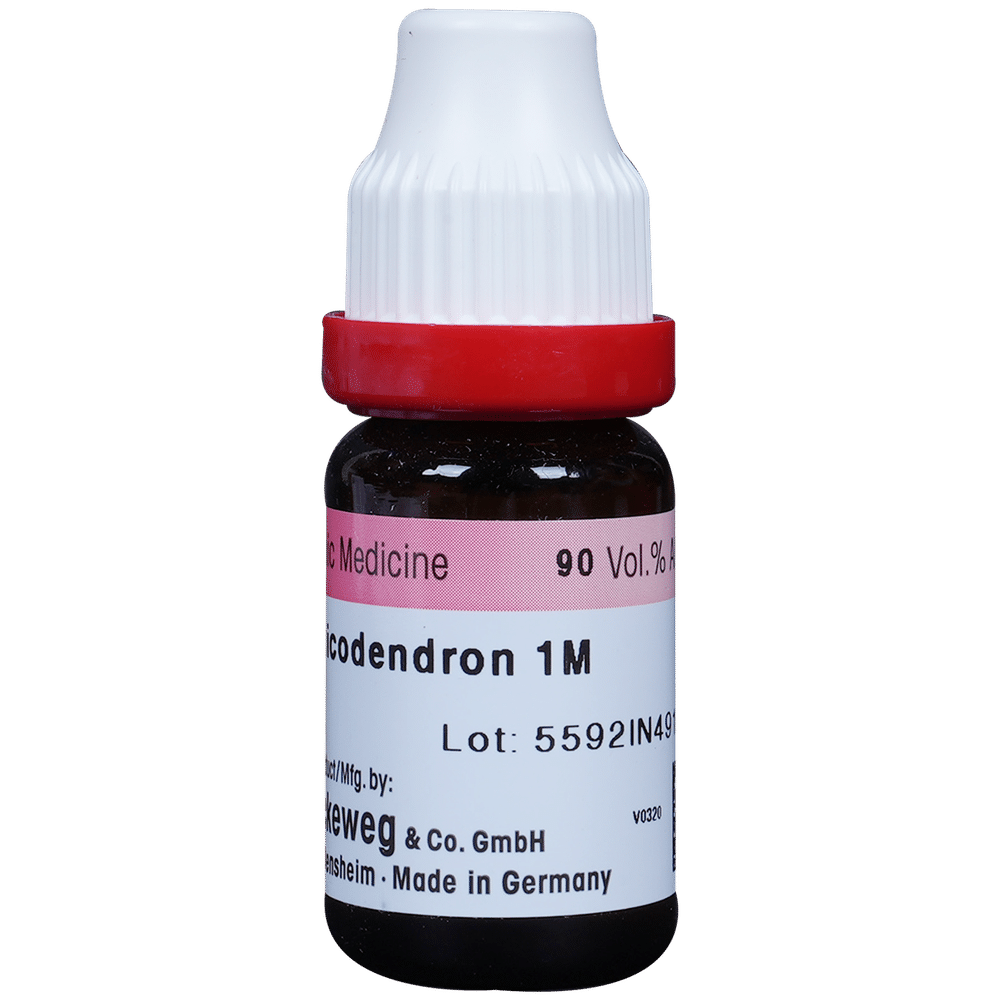 Dr. Reckeweg Rhus Tox Dilution 1000 CH Dr. Reckeweg Rhus Tox Dilution 1000 CH