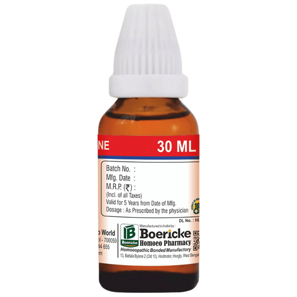 Dr. Majumder Homeo World Asafoetida Q Mother Tincher(30ml Each) Dr. Majumder Homeo World Asafoetida Q Mother Tincher(30ml Each)