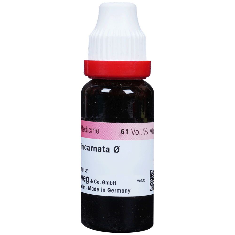 Dr. Reckeweg Passiflora Inc Mother Tincture Q Dr. Reckeweg Passiflora Inc Mother Tincture Q