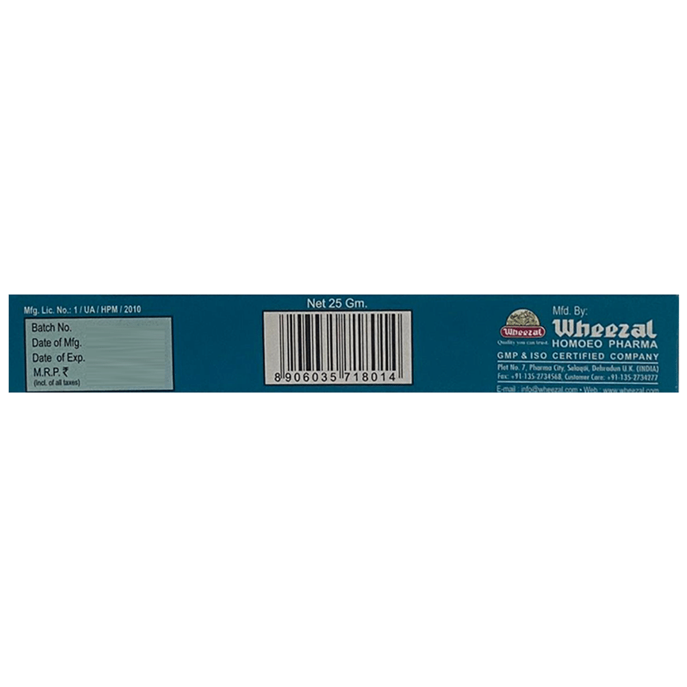 Wheezal Aesculus Ointment Wheezal Aesculus Ointment