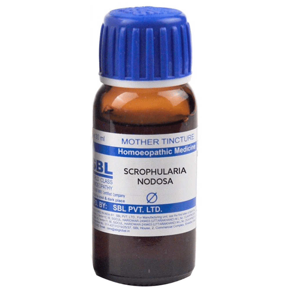 SBL Scrophularia Nodosa Mother Tincture Q SBL Scrophularia Nodosa Mother Tincture Q