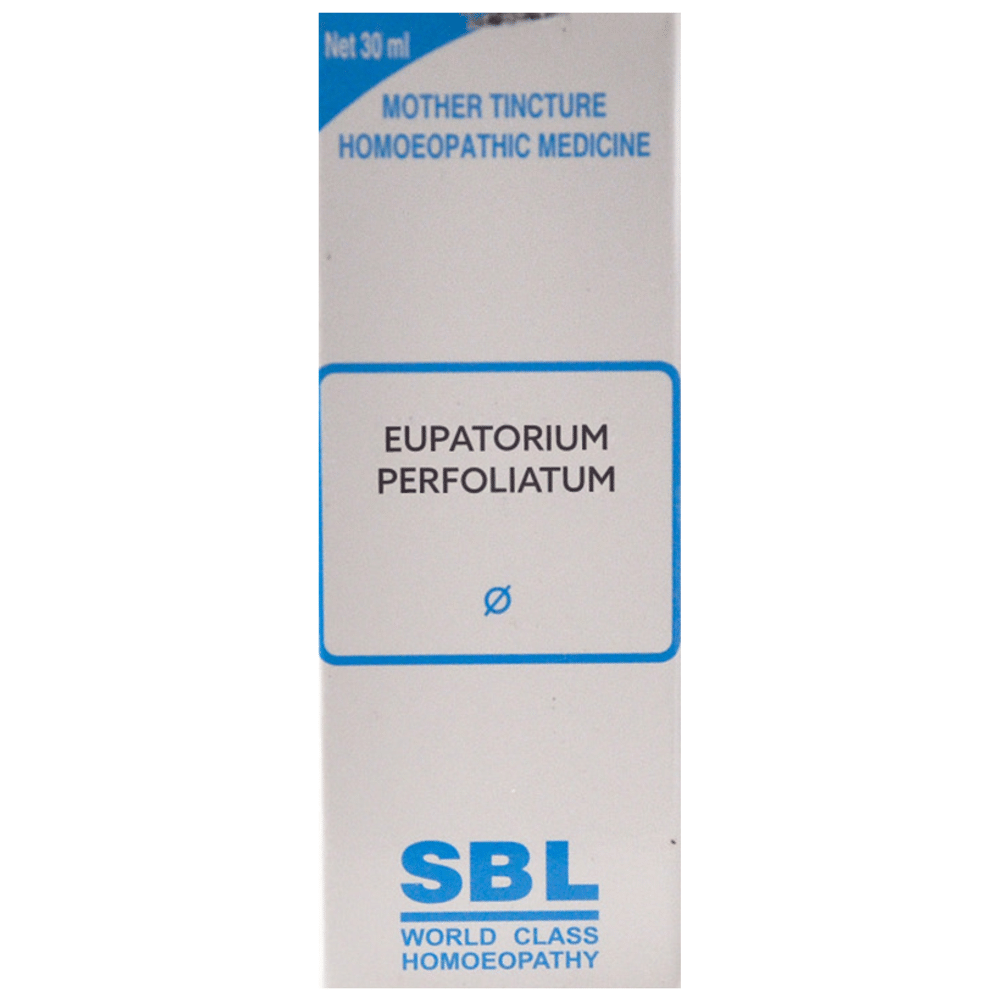 SBL Eupatorium Perfoliatum Mother Tincture Q SBL Eupatorium Perfoliatum Mother Tincture Q