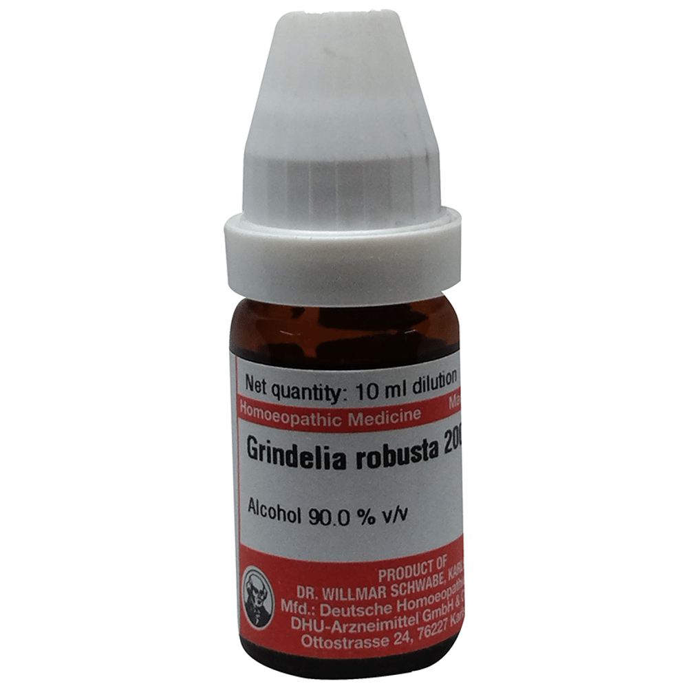 Dr Willmar Schwabe Germany Grindelia Robusta Dilution 200 Dr Willmar Schwabe Germany Grindelia Robusta Dilution 200