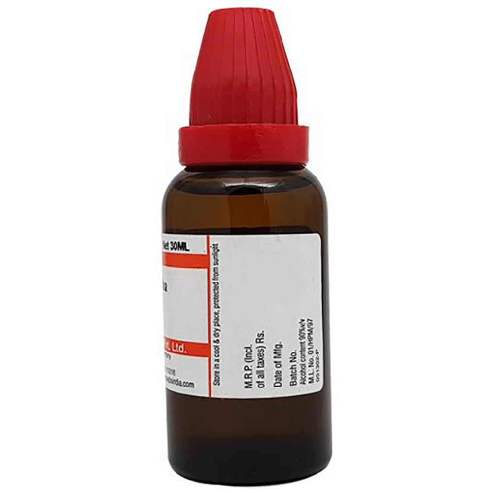 Dr Willmar Schwabe India Passiflora Incarnata Mother Tincture Q Dr Willmar Schwabe India Passiflora Incarnata Mother Tincture Q
