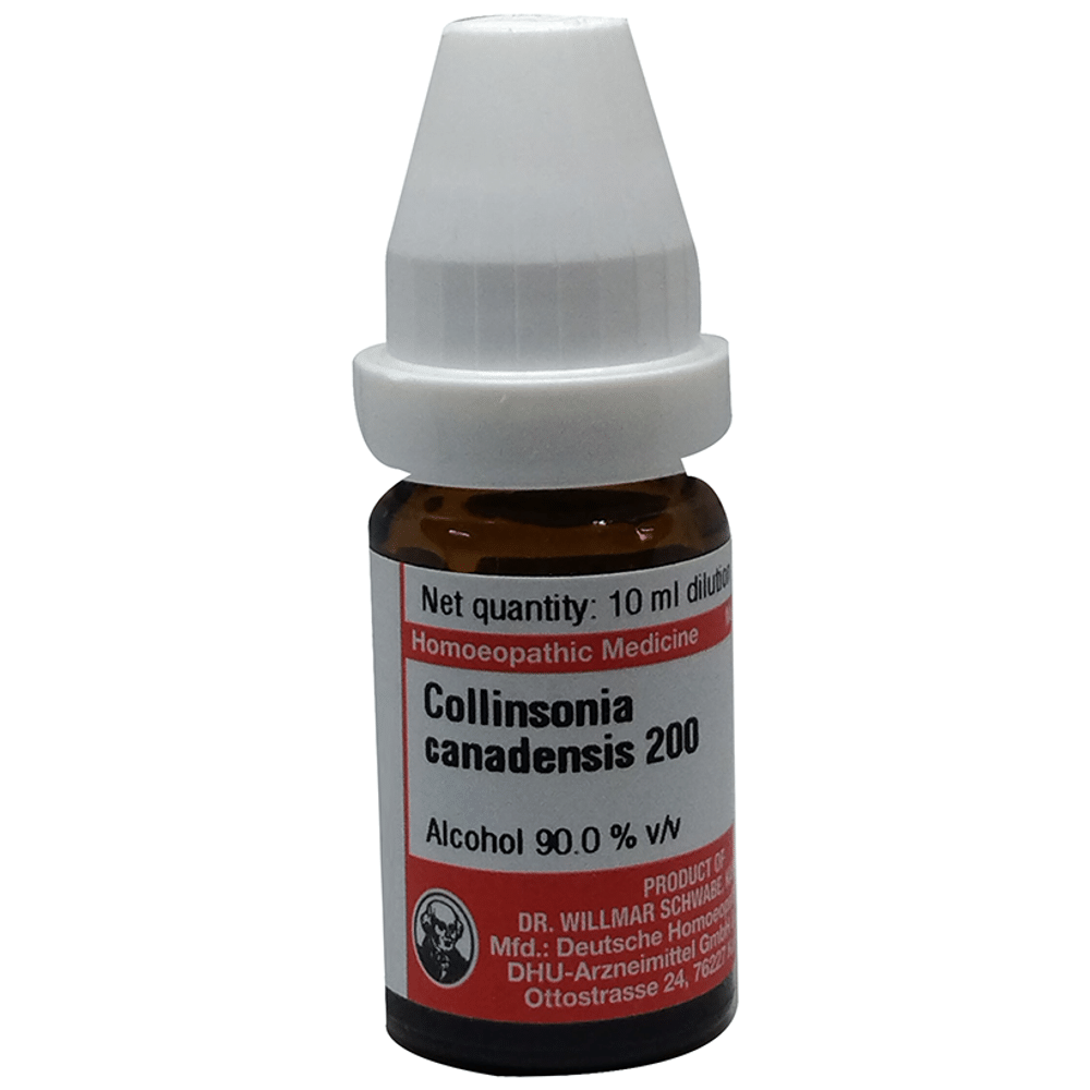 Dr Willmar Schwabe Germany Collinsonia Canadensis Dilution 200 Dr Willmar Schwabe Germany Collinsonia Canadensis Dilution 200