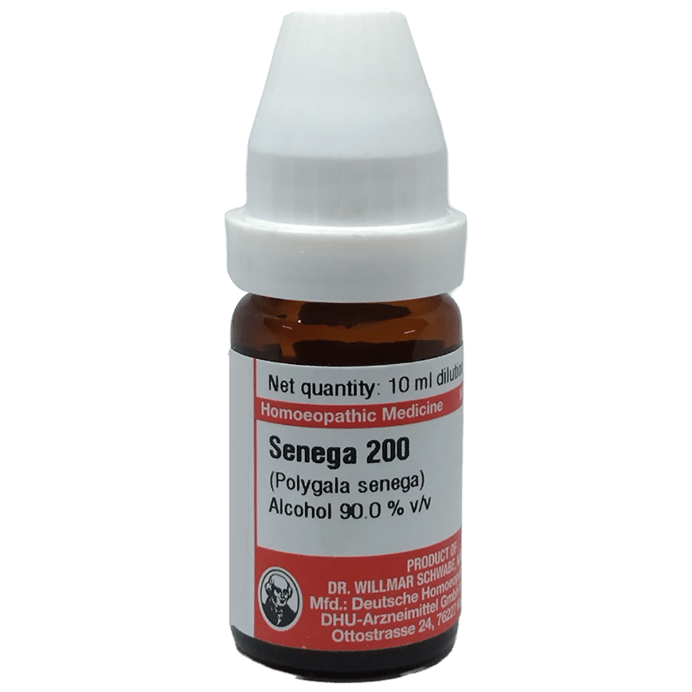 Dr Willmar Schwabe Germany Senega (Polygala Senega) Dilution 200 Dr Willmar Schwabe Germany Senega (Polygala Senega) Dilution 200