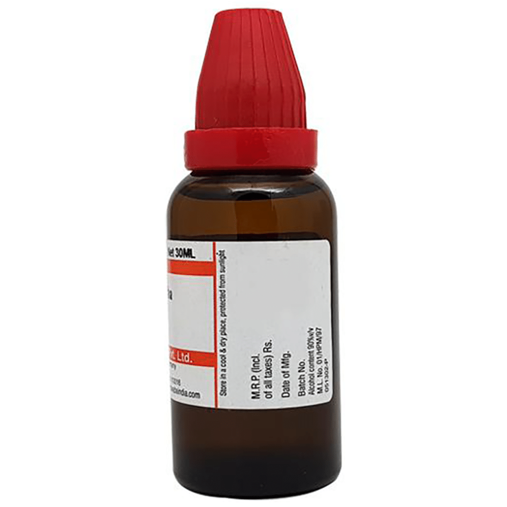 Dr Willmar Schwabe India Rhus Toxicodendron Dilution 200 CH Dr Willmar Schwabe India Rhus Toxicodendron Dilution 200 CH